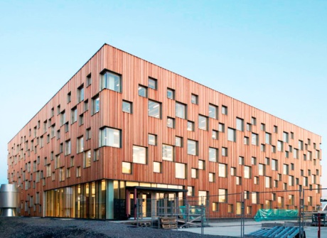 Umeå University